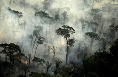 Καίγεται και φέτος η Αμαζονία. 6800 πυρκαγιές μόνο τον Ιούλιο - Φωτογραφία 1