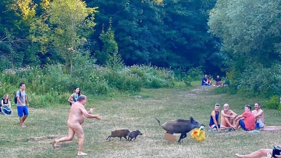 Γερμανία: Viral οι φωτογραφίες με τον γυμνό άνδρα που κυνηγά αγριογούρουνο - Φωτογραφία 1