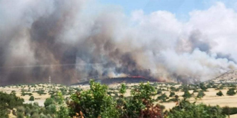 Σε εξέλιξη μεγάλη φωτιά στην Κύπρο: Εκκενώνεται το χωριό Προαστειό - Φωτογραφία 1