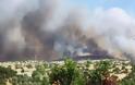 Σε εξέλιξη μεγάλη φωτιά στην Κύπρο: Εκκενώνεται το χωριό Προαστειό