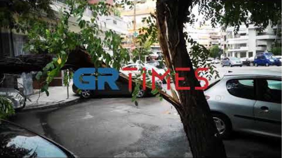 Καιρός: Ισχυρή καταιγίδα στη Θεσσαλονίκη - Έπεσαν δέντρα - Φωτογραφία 4