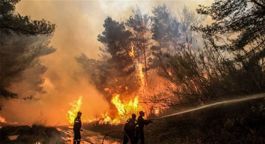 Οι (ξεχασμένες…) φωτιές της Ηπείρου με τους 7 νεκρούς - Φωτογραφία 7