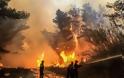 Οι (ξεχασμένες…) φωτιές της Ηπείρου με τους 7 νεκρούς - Φωτογραφία 7