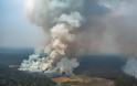Πυρκαγιές στον Αμαζόνιο: Τεράστια καταστροφή
