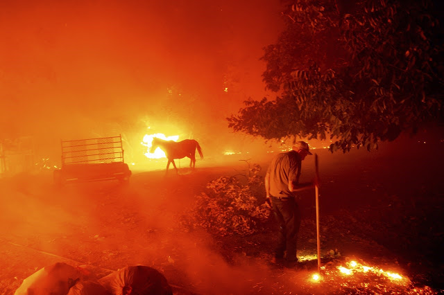 Σε κατάσταση έκτακτης ανάγκης η Καλιφόρνια: Μεγάλες πυρκαγιές και πρωτοφανής καύσωνας - Φωτογραφία 2