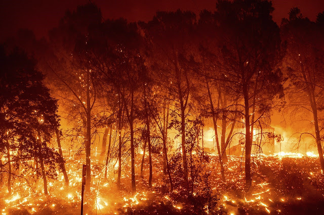 Σε κατάσταση έκτακτης ανάγκης η Καλιφόρνια: Μεγάλες πυρκαγιές και πρωτοφανής καύσωνας - Φωτογραφία 3