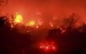 Σε κατάσταση έκτακτης ανάγκης η Καλιφόρνια: Μεγάλες πυρκαγιές και πρωτοφανής καύσωνας