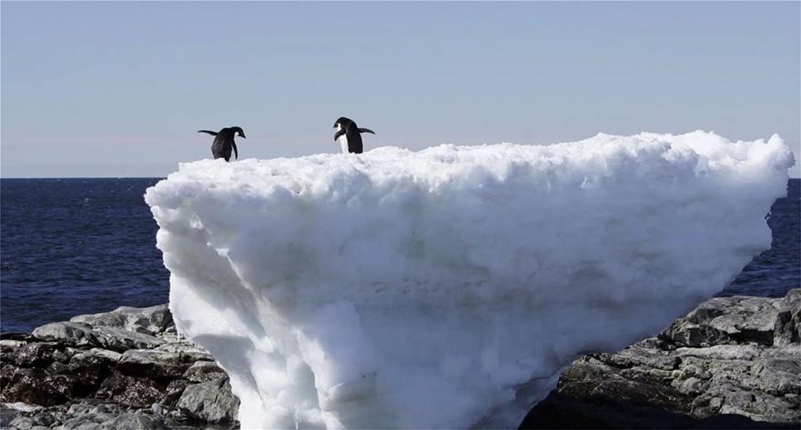 Ο πλανήτης εκμπέμπει SOS: Η Γροιλανδία έχασε 586 δισ. τόνους πάγου το 2019 - Φωτογραφία 3