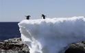 Ο πλανήτης εκμπέμπει SOS: Η Γροιλανδία έχασε 586 δισ. τόνους πάγου το 2019 - Φωτογραφία 3