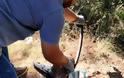Τρίκορφο Ναυπακτίας: Διάσωση αετού από...φίδι