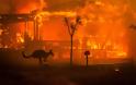 Οι φωτιές στην Αυστραλία ενισχύθηκαν «ξεκάθαρα» από την κλιματική αλλαγή,