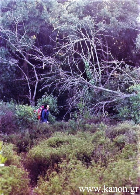 13578 - Οδοιπορικό στο Άγιο Όρος του 1985. Μια διανυκτέρευση στα «Καμένα» - Φωτογραφία 8