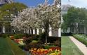 Μελάνια Τραμπ: Επικρίνεται για τον επανασχεδιασμό του Κήπου των Ρόδων - Φωτογραφία 2