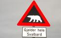 Νορβηγία: Πολική αρκούδα επιτέθηκε και σκότωσε τουρίστα