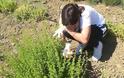 Αργυρώ Κουτσουράδη. Η εταιρεία της «συστήνει» τα χιώτικα αρωματικά φυτά και βότανα σε όλο τον κόσμο