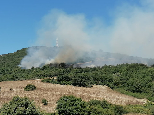 Δείτε φωτο από τη φωτιά που ξέσπασε σε δασική έκταση στην περιοχή Προφήτης Ηλίας, στα Παλιάμπελα, στη Βόνιτσα. - Φωτογραφία 2