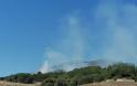 Δείτε φωτο από τη φωτιά που ξέσπασε σε δασική έκταση στην περιοχή Προφήτης Ηλίας, στα Παλιάμπελα, στη Βόνιτσα. - Φωτογραφία 4