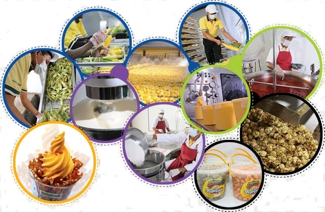Nέα ειδικότητα στο ΔΙΕΚ Αγρινίου: “Στέλεχος επιχειρήσεων τυποποίησης, μεταποίησης και εμπορίας αγροτικών προϊόντων” - Φωτογραφία 1