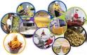 Nέα ειδικότητα στο ΔΙΕΚ Αγρινίου: “Στέλεχος επιχειρήσεων τυποποίησης, μεταποίησης και εμπορίας αγροτικών προϊόντων”