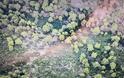Αποκαλυπτικές αεροφωτογραφίες από το χασισόδασος της Φθιώτιδας