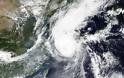 Τυφώνας Maysak: Αγνοείται πλοίο με 43 ναύτες πλήρωμα και χιλιάδες ζώα φορτίο στη θάλασσα της Ιαπωνίας - Φωτογραφία 2