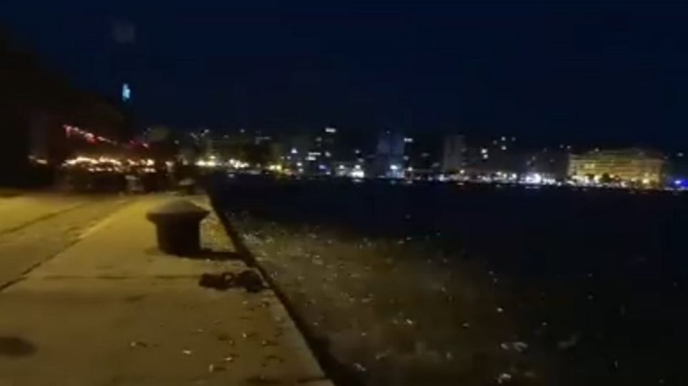 Θεσσαλονίκη: Γέμισε πάλι το λιμάνι με ψάρια που βγήκαν στη στεριά - Φωτογραφία 1