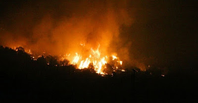 Μεγάλη πυρκαγιά στο Σοφικό Κορινθίας ...Εκκενώνονται τρεις οικισμοί - Φωτογραφία 1