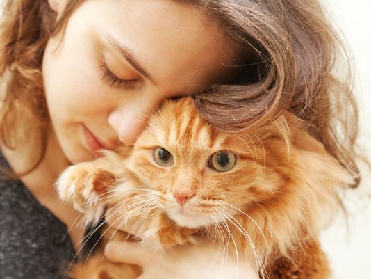 Οι γάτες είναι καταπληκτικοί φίλοι, σύντροφοι και πολύ καλοί θεραπευτές - Φωτογραφία 1