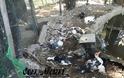 Θανάτωσαν 30 χήνες και πάπιες σε πάρκο στη Νάουσα - Σοκαριστικές εικόνες