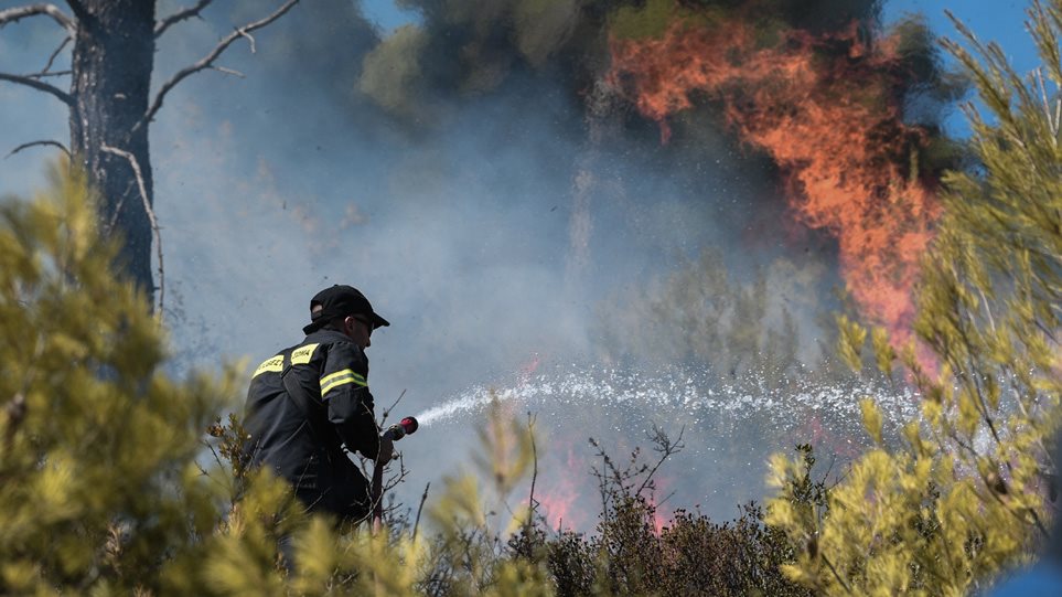 Φωτιά στη Φέριζα Καλυβίων Αττικής κοντά σε σπίτια ΒΙΝΤΕΟ - Φωτογραφία 1