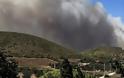 Εκκενώνεται για προληπτικούς λόγους ο οικισμός Φέριζα στην Κερατέα όπου έχει ξεσπάσει μεγάλη πυρκαγιά.