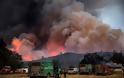 Πυρκαγιές στην Καλιφόρνια: Στάχτη πάνω από 2 εκατ. στρέμματα