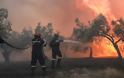 Μαίνεται η φωτιά στην Κερατέα - Εκκενώνονται οικισμοί - Καίγονται σπίτια, πνίγεται στους καπνούς η περιοχή - Φωτογραφία 1
