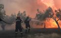 Μαίνεται η φωτιά στην Κερατέα - Εκκενώνονται οικισμοί - Καίγονται σπίτια, πνίγεται στους καπνούς η περιοχή - Φωτογραφία 3