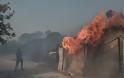 Μπαράζ πυρκαγιών στην Αττική: Ανησυχία για τις αναζωπυρώσεις - - Φωτογραφία 1