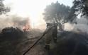 Μπαράζ πυρκαγιών στην Αττική: Ανησυχία για τις αναζωπυρώσεις - - Φωτογραφία 10