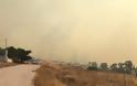 Μπαράζ πυρκαγιών στην Αττική: Ανησυχία για τις αναζωπυρώσεις - - Φωτογραφία 40