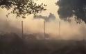 Μπαράζ πυρκαγιών στην Αττική: Ανησυχία για τις αναζωπυρώσεις - - Φωτογραφία 6