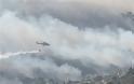 Μπαράζ πυρκαγιών στην Αττική: Ανησυχία για τις αναζωπυρώσεις - - Φωτογραφία 9