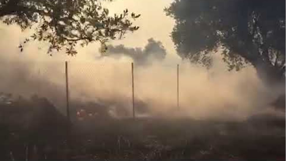 Φωτιά στο Νέο Βουτζά: Φόβος για αναζωπυρώσεις σε Κερατέα και Λαυρεωτική - Φωτογραφία 6