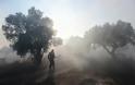 Φωτιά στο Νέο Βουτζά: Φόβος για αναζωπυρώσεις σε Κερατέα και Λαυρεωτική - Φωτογραφία 11