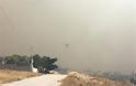 Φωτιά στο Νέο Βουτζά: Φόβος για αναζωπυρώσεις σε Κερατέα και Λαυρεωτική - Φωτογραφία 31