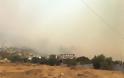 Φωτιά στο Νέο Βουτζά: Φόβος για αναζωπυρώσεις σε Κερατέα και Λαυρεωτική - Φωτογραφία 41