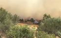 Φωτιά στο Νέο Βουτζά: Φόβος για αναζωπυρώσεις σε Κερατέα και Λαυρεωτική - Φωτογραφία 42