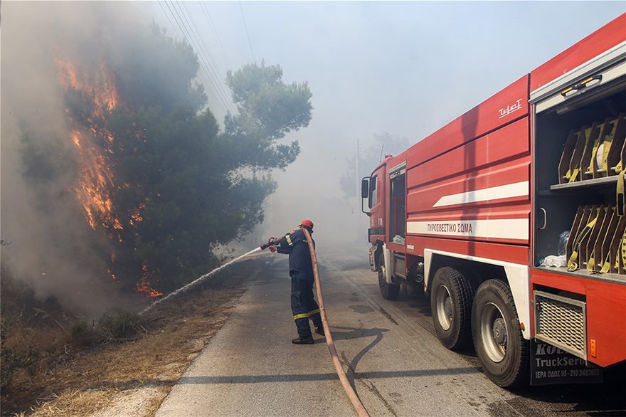 Βίντεο φωτος από τη φωτιά στην Αρτέμιδα - Φωτογραφία 5