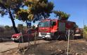 Βίντεο φωτος από τη φωτιά στην Αρτέμιδα
