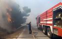 Βίντεο φωτος από τη φωτιά στην Αρτέμιδα - Φωτογραφία 5