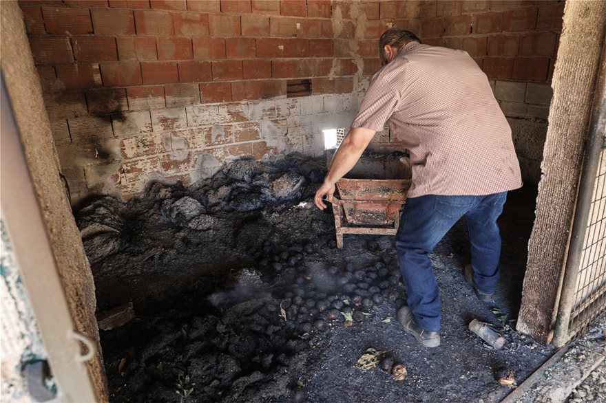 Κερατέα: Αποκαΐδια και εικόνες καταστροφής την επόμενη μέρα της μεγάλης φωτιάς - Ζημιές σε πάνω από 30 σπίτια - Φωτογραφία 10
