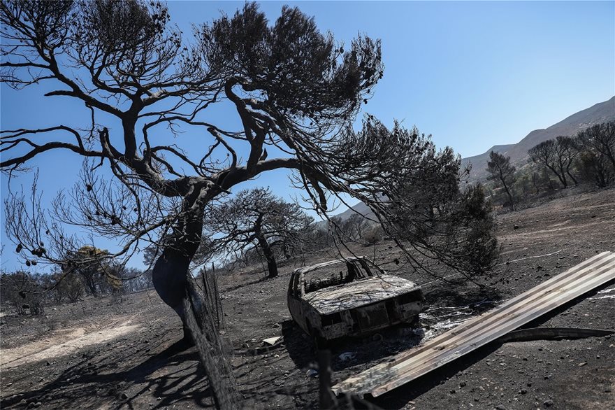 Κερατέα: Αποκαΐδια και εικόνες καταστροφής την επόμενη μέρα της μεγάλης φωτιάς - Ζημιές σε πάνω από 30 σπίτια - Φωτογραφία 12