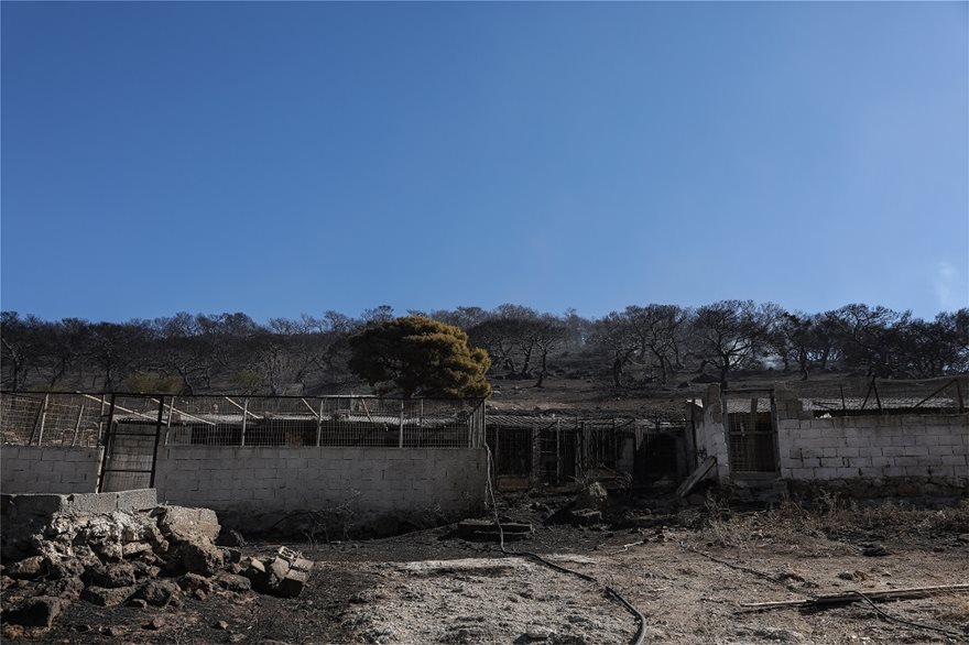 Κερατέα: Αποκαΐδια και εικόνες καταστροφής την επόμενη μέρα της μεγάλης φωτιάς - Ζημιές σε πάνω από 30 σπίτια - Φωτογραφία 7